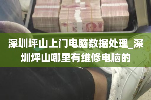 深圳坪山上门电脑数据处理_深圳坪山哪里有维修电脑的