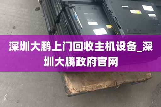 深圳大鹏上门回收主机设备_深圳大鹏政府官网