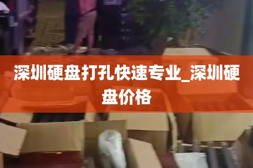 深圳硬盘打孔快速专业_深圳硬盘价格